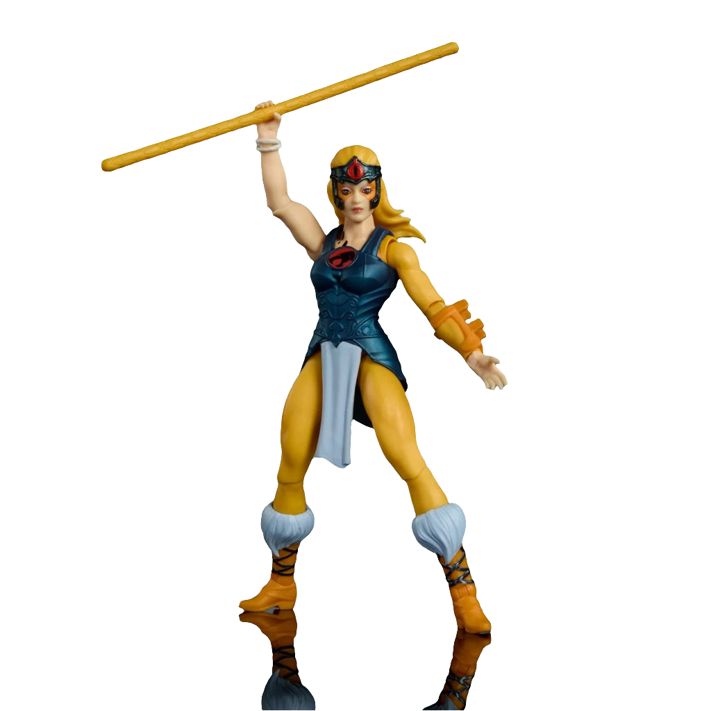 Masters of Universe Origins and ThunderCats Cheetara JFW94 US-Import