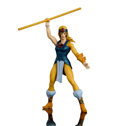 PRE-ORDER Masters of Universe Origins and ThunderCats Cheetara JFW94 US-Import