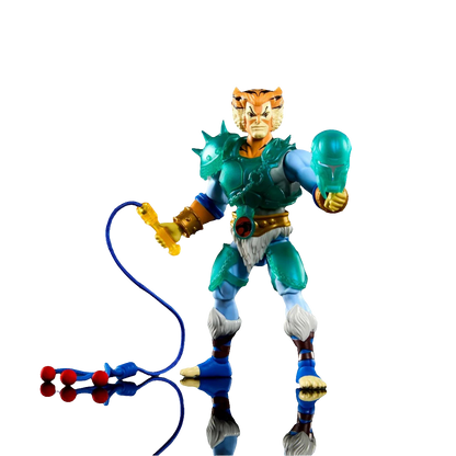 Masters of Universe Origins and ThunderCats Wave 2 Tygra MTJFW96 US-Import