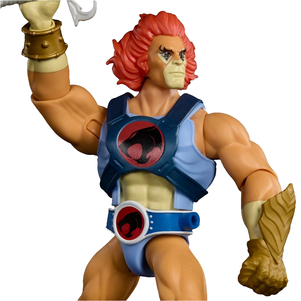 Masters of Universe Origins and ThunderCats Lion-O JFW93 US-Import