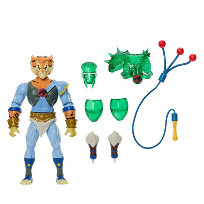 Masters of Universe Origins and ThunderCats Wave 2 Tygra MTJFW96 US-Import
