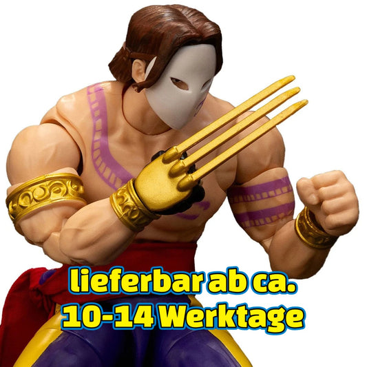 Ultra Street Fighter II Vega JD35172