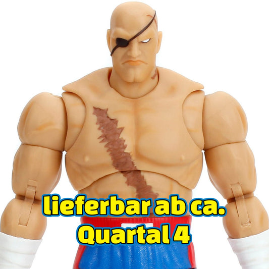 Ultra Street Fighter II Sagat 6-Inch Scale Deluxe Action Figure JD35171 US-IMPORT